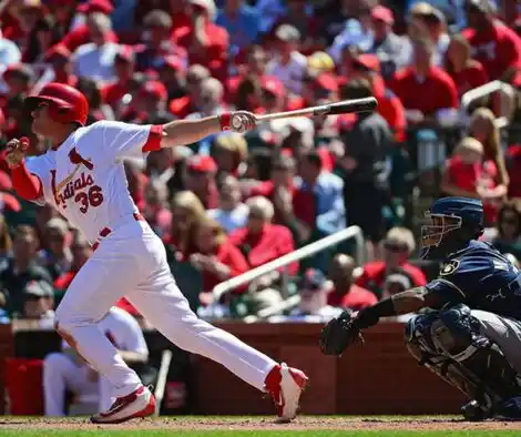 A St. Louis Cardinals player swings a bat in a packed stadium during a sunny baseball game, with a catcher poised to catch, illustrating the dynamics surrounding the shortstop in baseball.